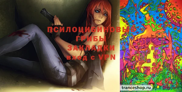 спайс Баксан
