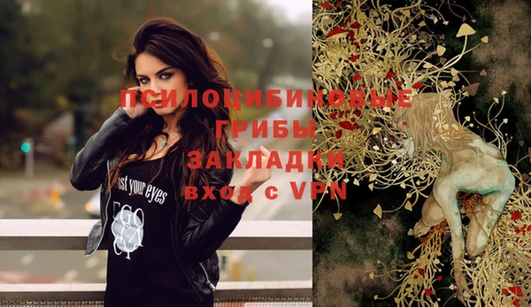 apvp Балабаново